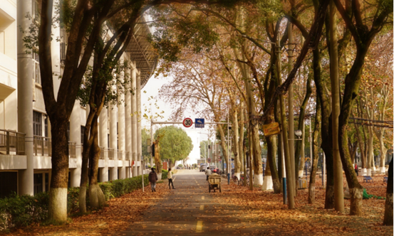 说明: //rcb.zmavapp.com/__local/F/DC/AD/26AAF68465C39908E951504ECA2_E70C2E5D_119062.png